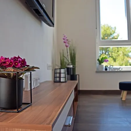 Apartment Summer Breeze Pula Exterior photo